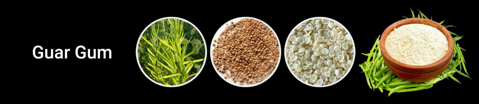 Guar Gum &ndash; Hi-Tech lifescience